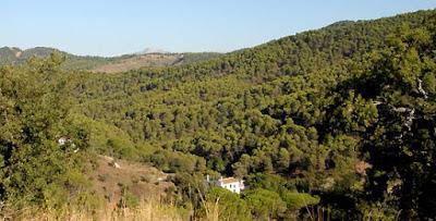 Parques Naturales de Andalucía Parques Naturales de Andalucía