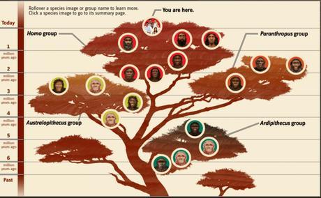 ¿Fobia a los árboles en paleoantropología?