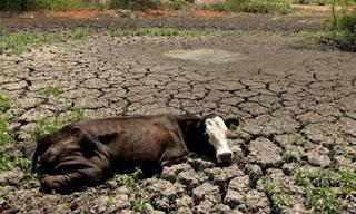 ¿Qué es el fenómeno de El Niño?