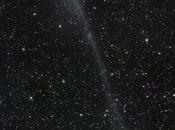 colas cometa Catalina