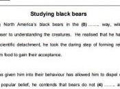 Partes examen (Advanced). Formato estructura
