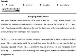 partes del examen CAE