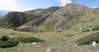 Valle de Corralines-El Rastriechu-Vega Vieja-El Rozo-Loma Palomo