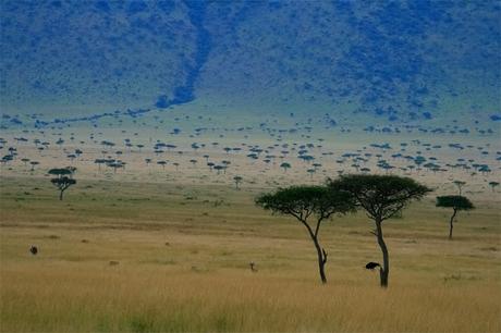 LOS CLIMAS DE LA TIERRA: CLIMA TROPICAL CON ESTACIÓN SECA Y CLIMA MONZÓNICO