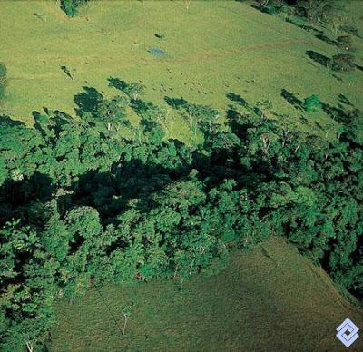 LOS CLIMAS DE LA TIERRA: CLIMA TROPICAL CON ESTACIÓN SECA Y CLIMA MONZÓNICO