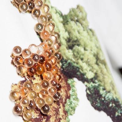 Leandro Cano inaugura su e-shop de la mano de Luke Leandro Cano inaugura su e-shop de la mano de Luke