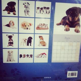 Herramientas para conseguir tus propósitos