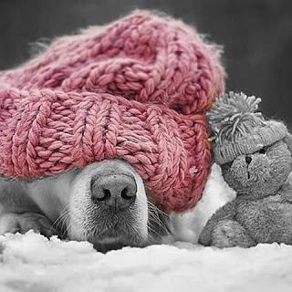 Volviendo a la normalidad