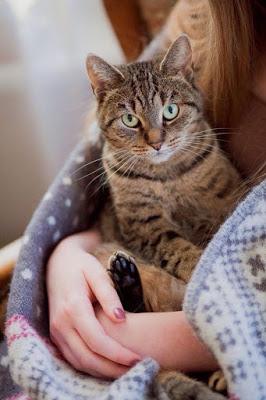 Volviendo a la normalidad