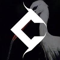 Ciconia prepara disco