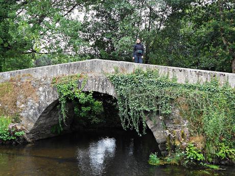 CAMINO DE SANTIAGO: MELIDE-RIBADISO DA BAIXO. (CAMINO FRANCÉS)