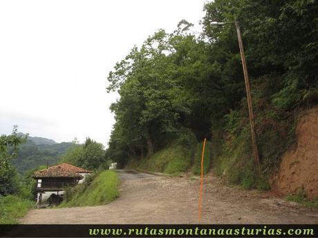 Ruta Bueño Peña Avis: Camino hacia el bosque