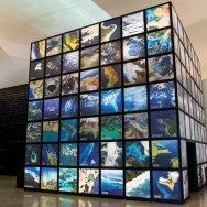 Museo del mañana foto Bernard Miranda Lessa 11