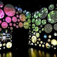 Museo del mañana foto Bernard Miranda Lessa 13