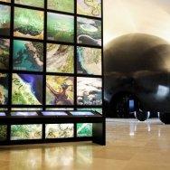 Museo del mañana foto Bernard Miranda Lessa 12