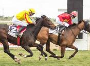 Resumen carreras domingo enero Gran Hipódromo Andalucía