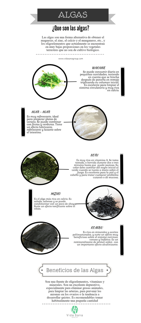 Las algas son una forma alternativa de obtener el magnesi... Las algas son una forma alternativa de obtener el magnesio, zinc, calcio, manganeso, etc., y los oligoelementos que actualmente no se encuentran o se encuentra en muy bajas proporciones en los vegetales terrestres que no son de cultivo biológico o biodinámico.
