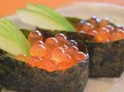 algas forma alternativa obtener magnesi...