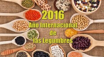 2016-ano-internacional-de-las-legumbres-1-360x200