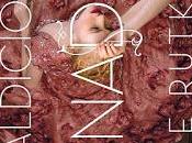 Reseña 144. maldición ganador