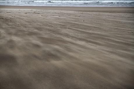 Viento sobre la playa