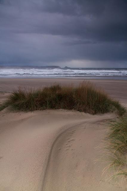 Viento sobre la playa