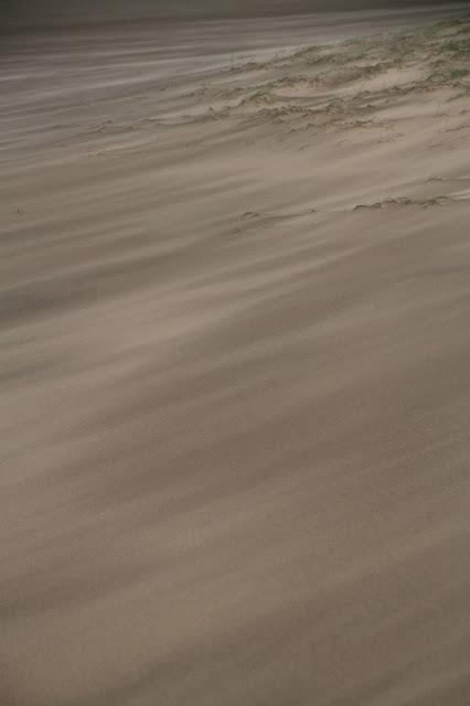 Viento sobre la playa
