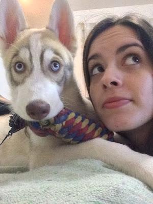 Nueva mascota + tips y consejos