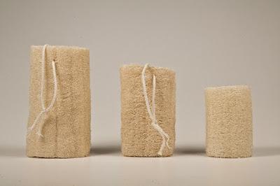 Luffa la esponja vegetal