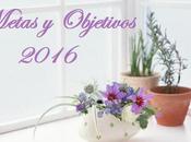 Metas Objetivos 2016