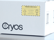 Niño carta casa, marchando