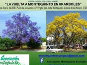 Ruta Botánica: vuelta Montequinto árboles, próximo domingo enero.