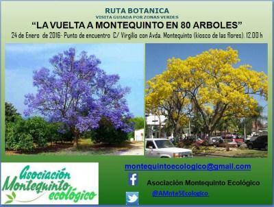 II Ruta Botánica: La vuelta a Montequinto en 80 árboles, el próximo domingo 24 de enero.
