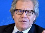 Almagro: “Impedir diputado asumir banca golpe voluntad pueblo”