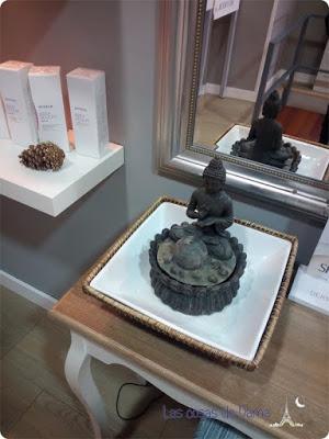 Collagen Up Centro de Estética Santum