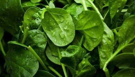 10 efectivos remedios caseros para la cistitis