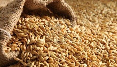 10 efectivos remedios caseros para la cistitis