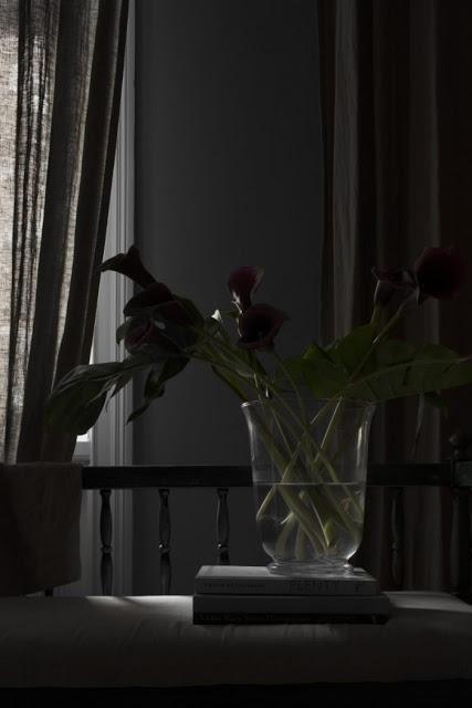 Una casa que respira intimidad y tranquilidad, en Oslo