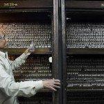 ¿Serán los remedios homeopaticos pronto una cosa del pasado en el Reino Unido?