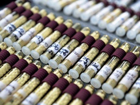 ¿Los medicamentos homeopáticos realmente contienen alcohol? ¿Los medicamentos homeopáticos realmente contienen alcohol?