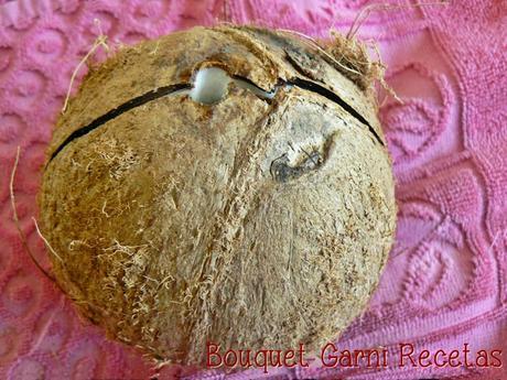 Leches vegetales. Leche de coco