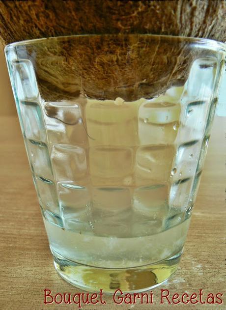 Leches vegetales. Leche de coco