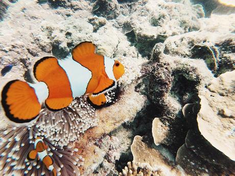 Bamboo_Beach-Off_Shoulders_Outfit-Beige-Turbant-SaboSkirt-Beach_Summer-60