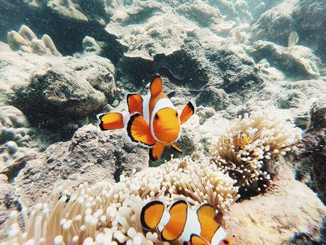 Bamboo_Beach-Off_Shoulders_Outfit-Beige-Turbant-SaboSkirt-Beach_Summer-59