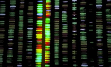 Bienvenidos a la era de la epigenética