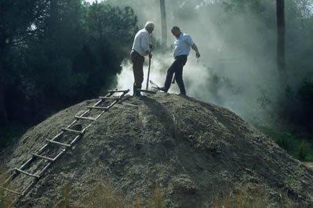 carbonera-truferas-trufas-del-senorio1
