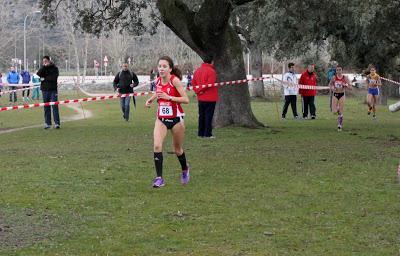XXXI CAMPEONATO DE  MADRID DE  MENORES CAMPO A TRAVÉS