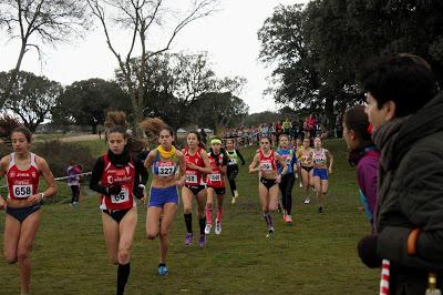 XXXI CAMPEONATO DE  MADRID DE  MENORES CAMPO A TRAVÉS