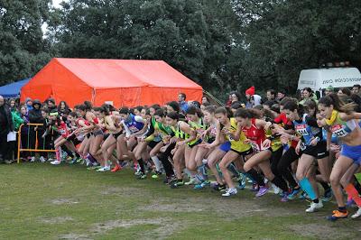 XXXI CAMPEONATO DE  MADRID DE  MENORES CAMPO A TRAVÉS