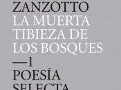 Poesía prosa Andrea Zanzotto